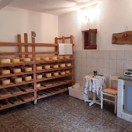 Pag 16100a Apartment Pag Town