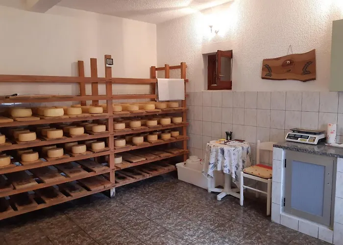 Pag 16100a Lägenhet Pag Town