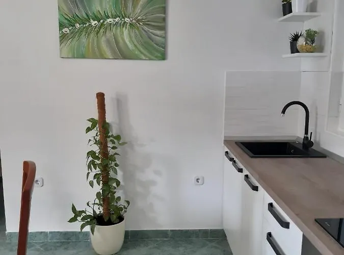 Pag 16100a Lägenhet Pag Town